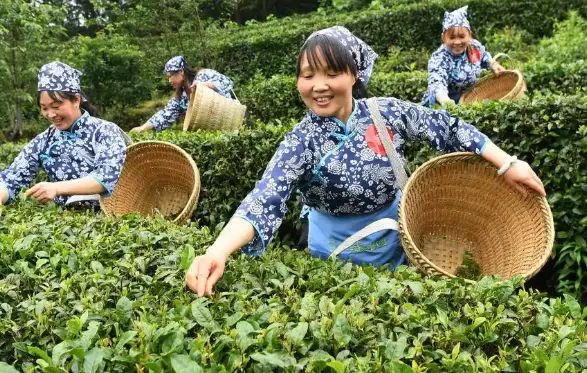 同城跑步圈新风口：徐汇滨江夜跑与前滩公园，单身跑团大部队等你归队🏃‍♂️